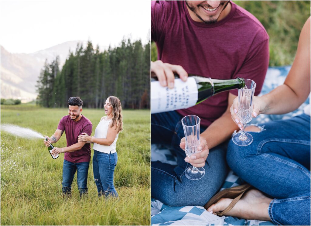 Palisades Meadow Lake Tahoe Photo Shoot Location Idea for Engagement Photos