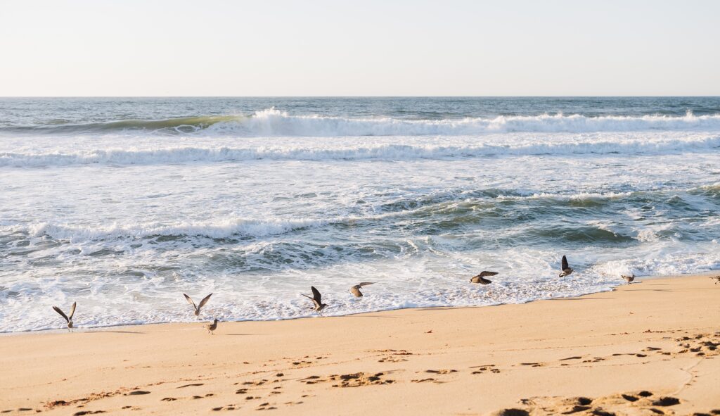 A Picturesque Engagement Session at Montara Beach | Annie + Ben