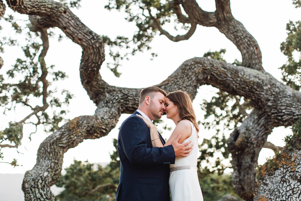 A Holman Ranch Wedding | Lavender Dreams in Carmel Valley