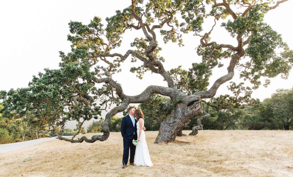 A Holman Ranch Wedding | Lavender Dreams in Carmel Valley