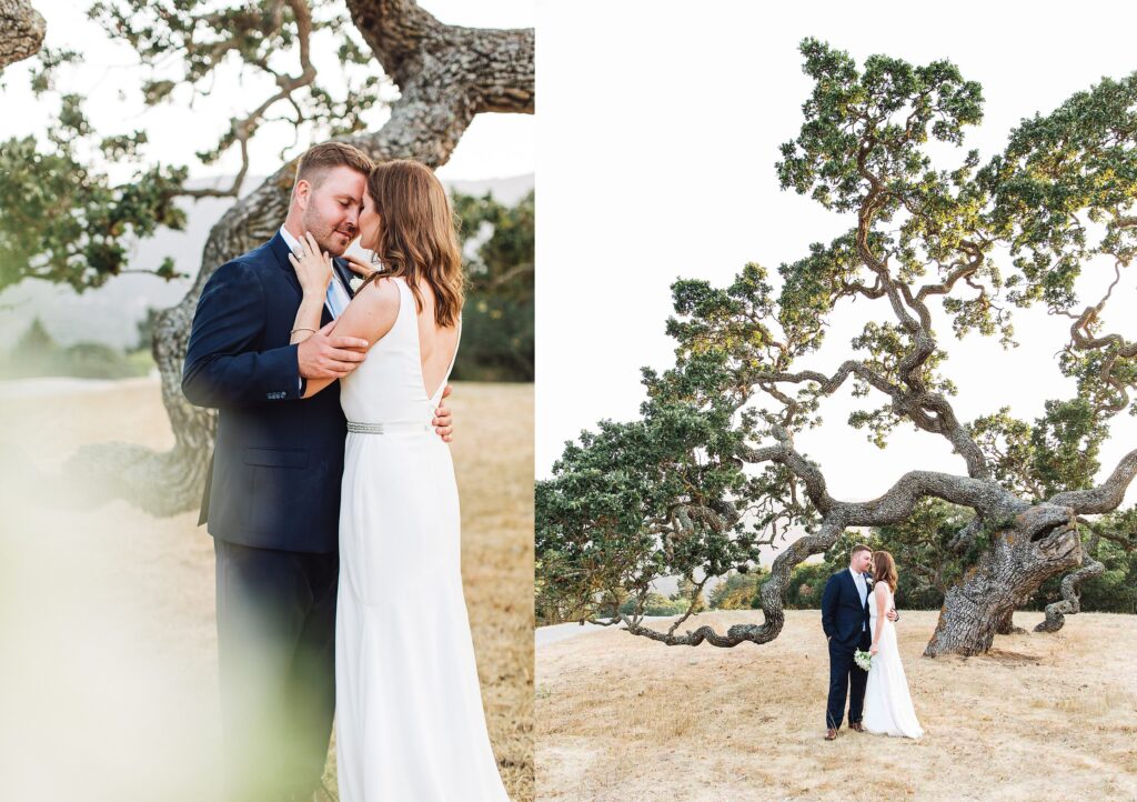 A Holman Ranch Wedding | Lavender Dreams in Carmel Valley