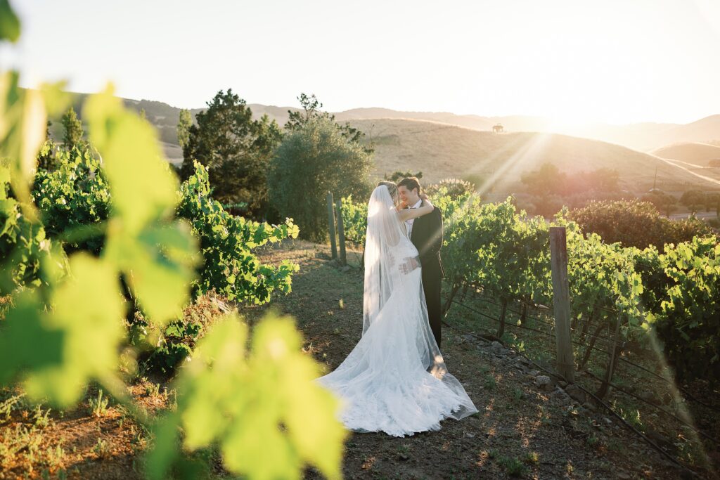 Viansa Sonoma: A Luxury Wedding Venue in Northern California