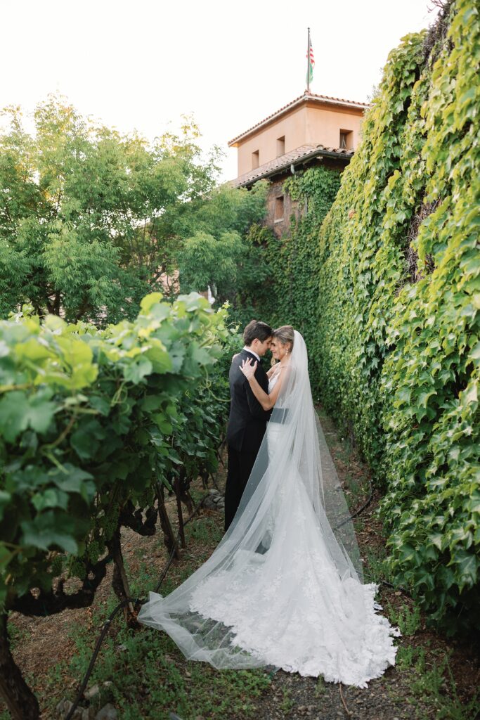 Viansa Sonoma: A Luxury Wedding Venue in Northern California