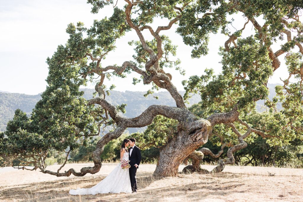 Bride and groom kissing under oak trees at Holman Ranch wedding in Carmel Valley, bride in lace floral gown holding colorful bouquet by Amy West Floral.